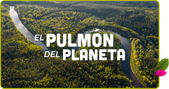 articulo